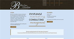 Desktop Screenshot of blueeyesconsulting.com